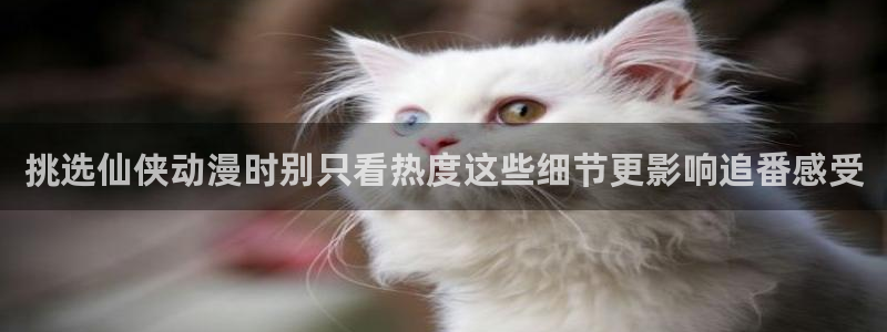 韩漫恋爱漫画推荐:挑选仙侠动漫时别只看热度这些细节更影响追番感受配图