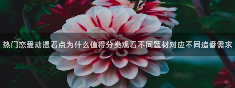 韩漫人气漫画:热门恋爱动漫看点为什么值得分类观看不同题材对应不同追番需求配图