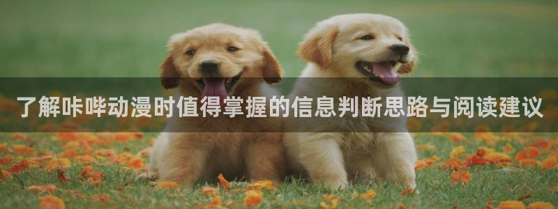 韩漫女性向漫画推荐:了解咔哔动漫时值得掌握的信息判断思路与阅读建议配图