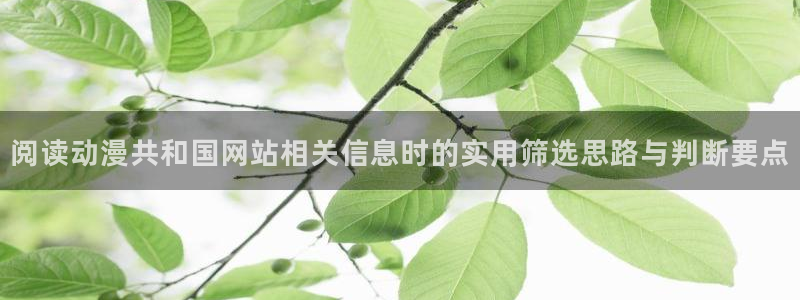 韩漫搞笑漫画推荐:阅读动漫共和国网站相关信息时的实用筛选思路与判断要点配图